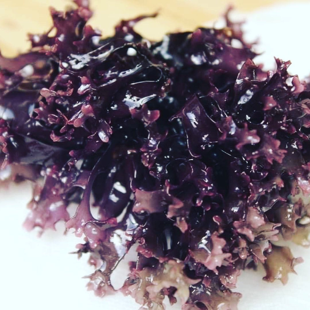 Irish Seamoss aka Chondrus Crispus Products